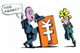 智能催收风险分析：构建高效风险管理体系