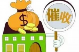 龙凤收账公司排名：揭秘行业翘楚，助力企业追回欠款