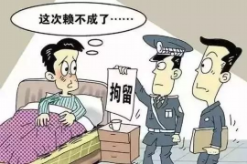 催收公司人员架构：揭秘高效债务回收的秘密武器