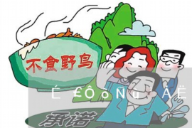 讨债人不停打电话怎么办？应对策略及案例分析